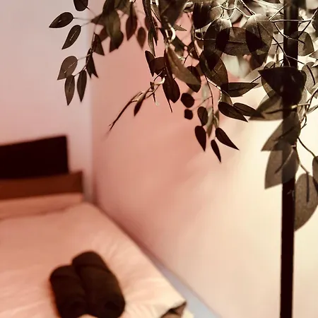 Am Rhein - Kapitol-viertel - Koelner Dom & Hauptbahnhof - Modern Komfort - Perfekte Lage Apartamento *